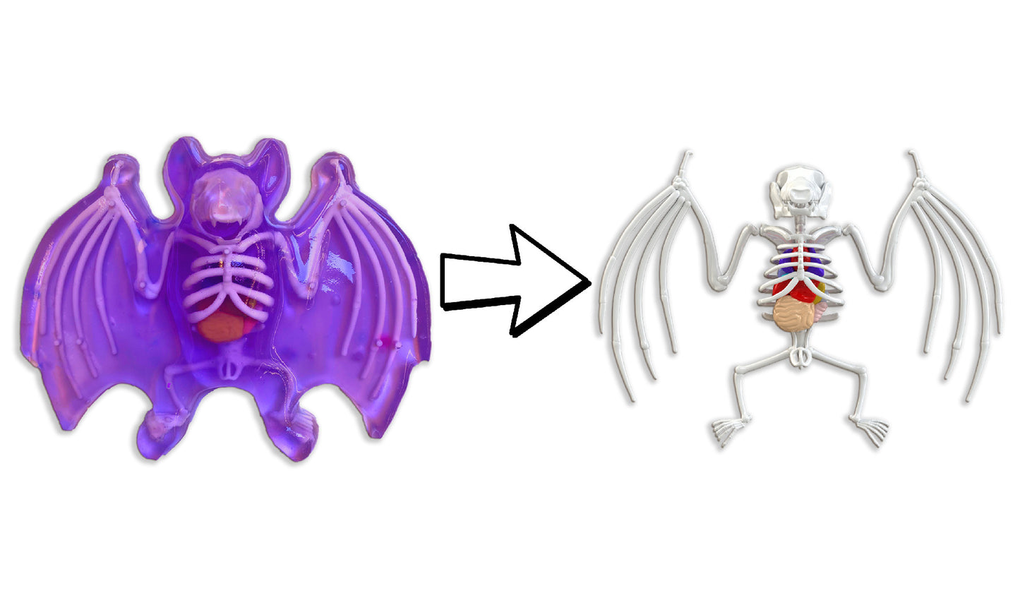 Dissect-It Bat Lab