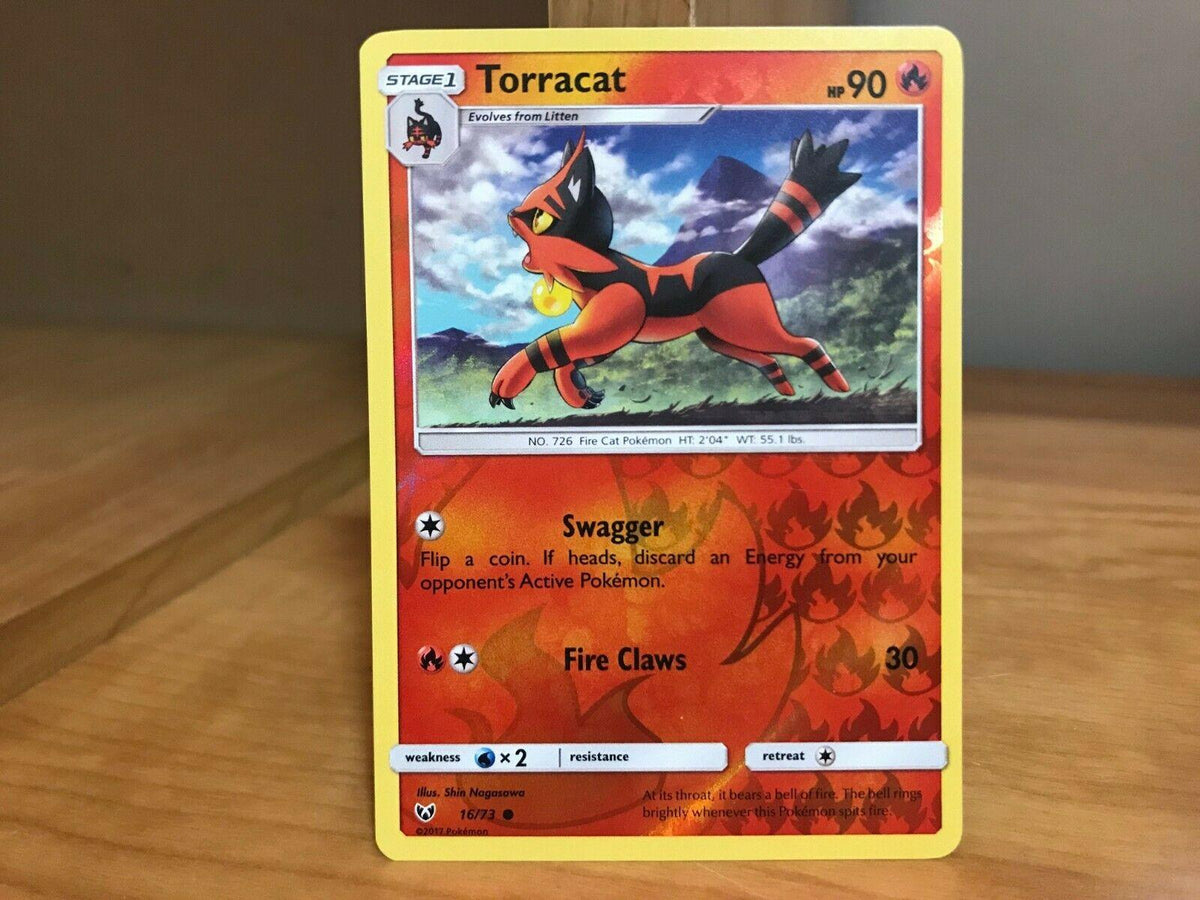 Torracat