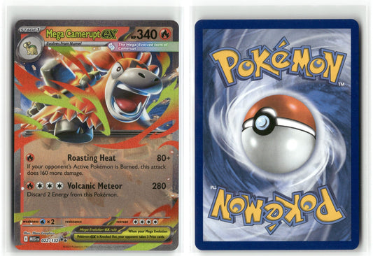 Front + Back scan