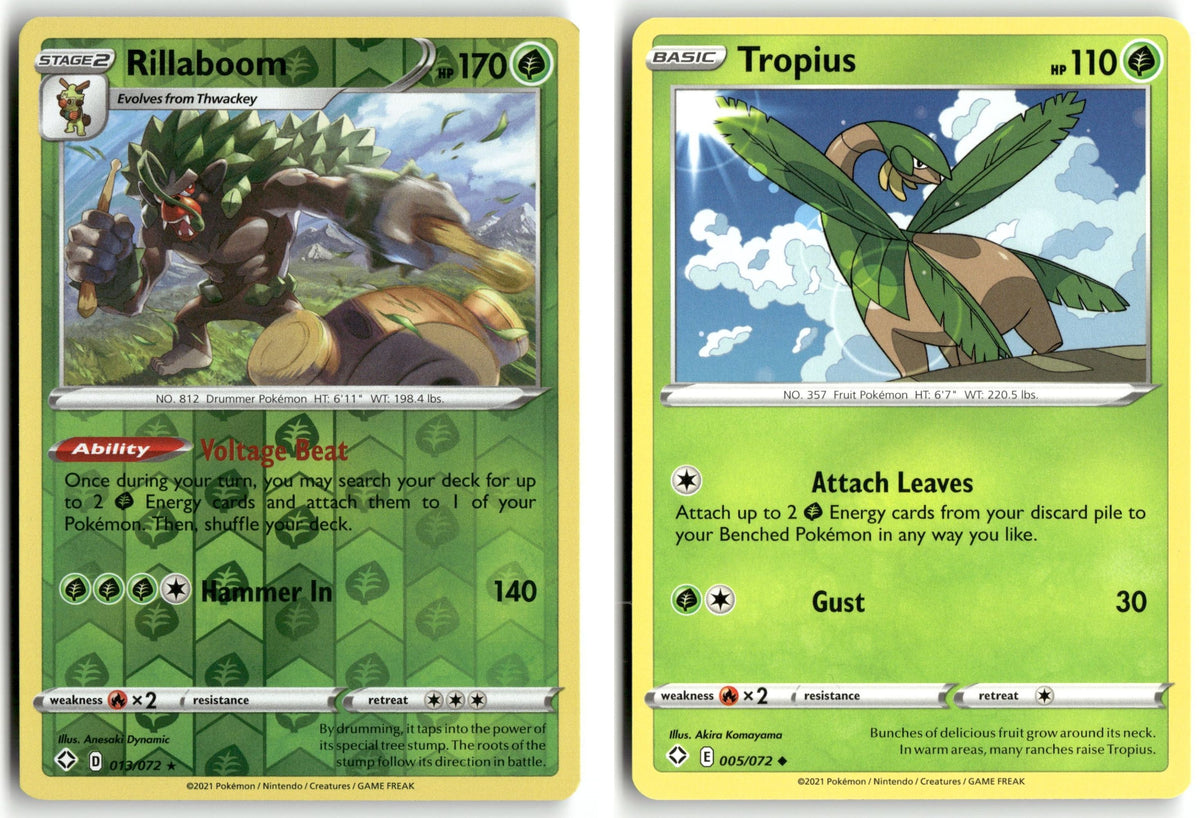 Front + Back scan | Near Mint / English / Reverse Holofoil