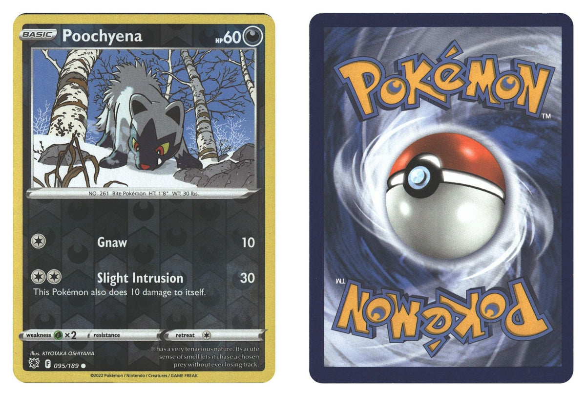 Front + Back scan | Near Mint / English / Reverse Holofoil