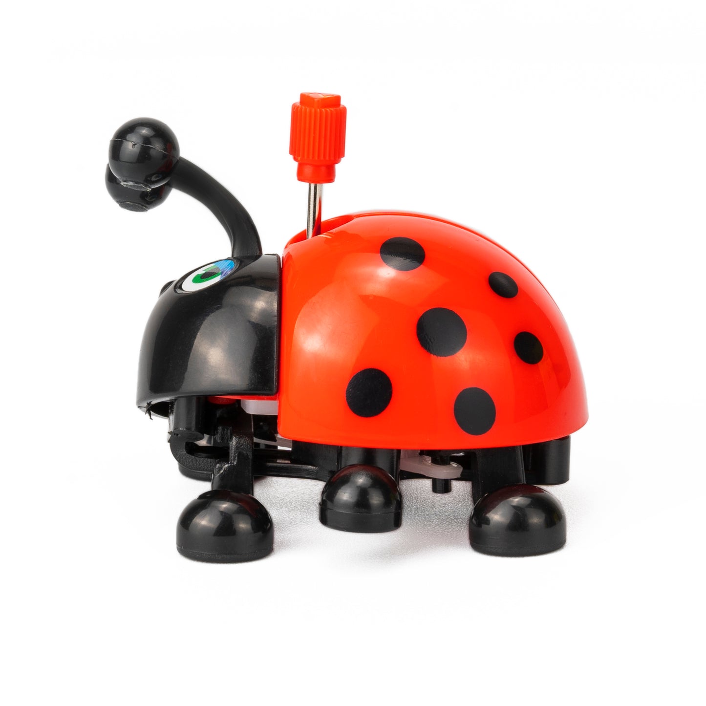 WIND UP LADYBUG, LORI