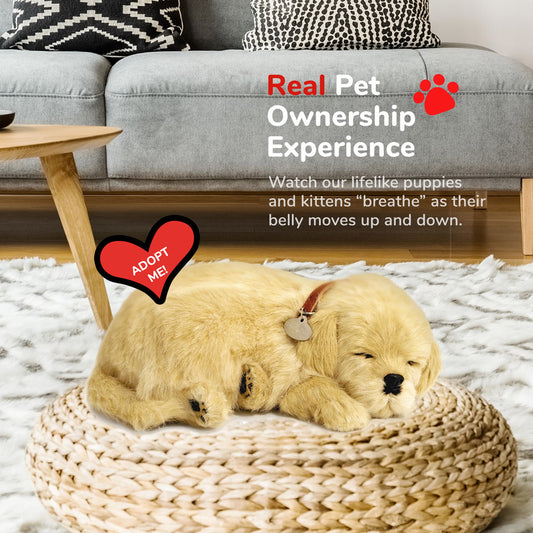 Original Golden Retriever Perfect Petzzz