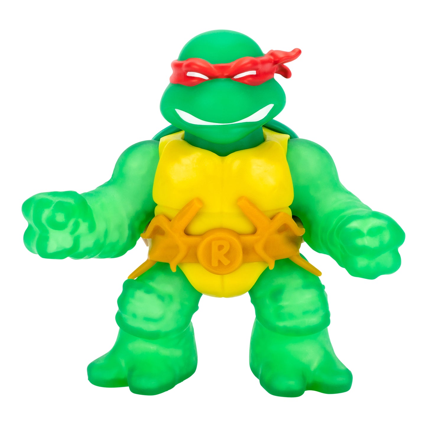 Heroes of Goo Jit Zu Teenage Mutant Ninja Turtles Power Team Leonardo and Raphael 2-Pack