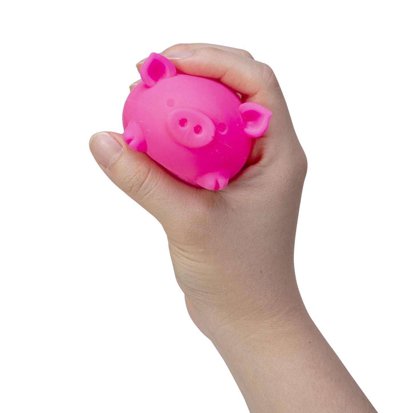 Schylling Dig It Pig Nee Doh