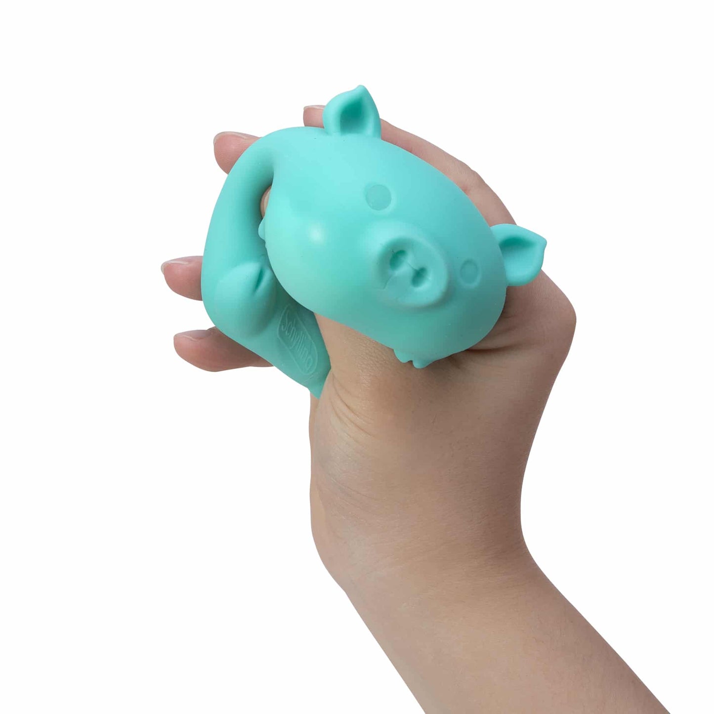 Schylling Dig It Pig Nee Doh