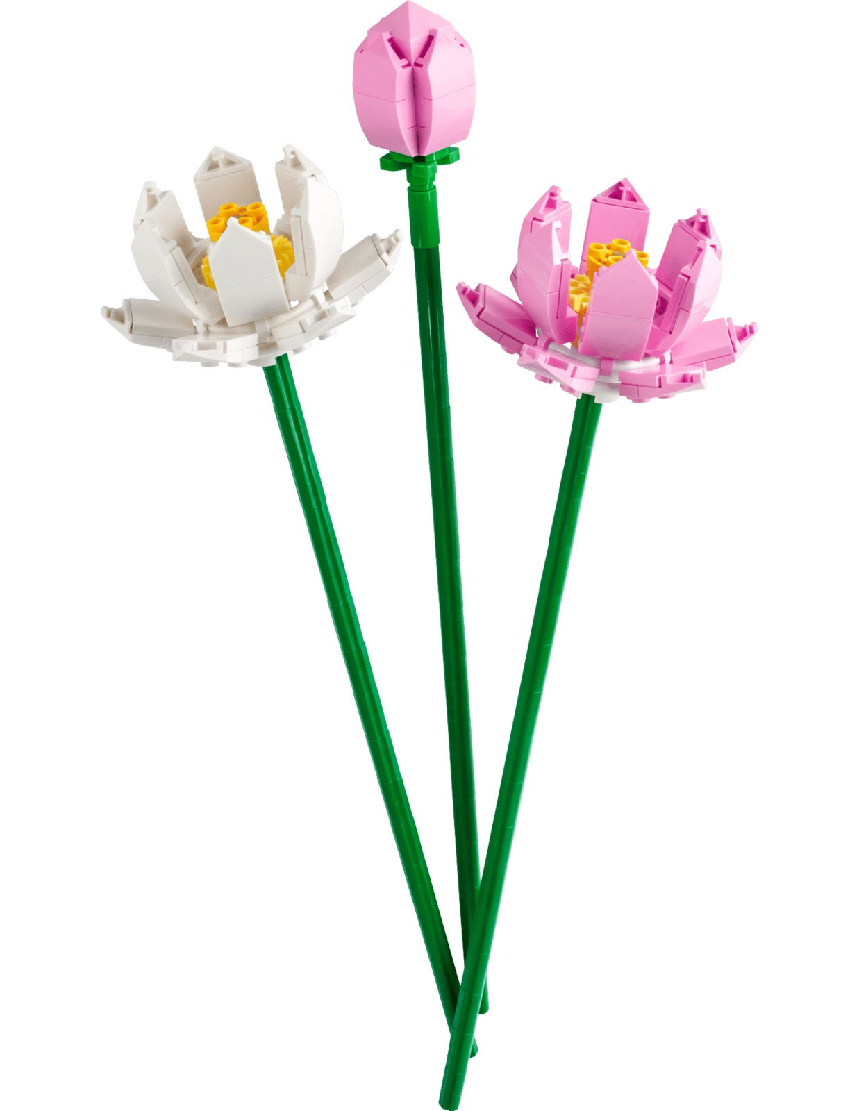 LEGO Botanicals Lotus Flowers 40647