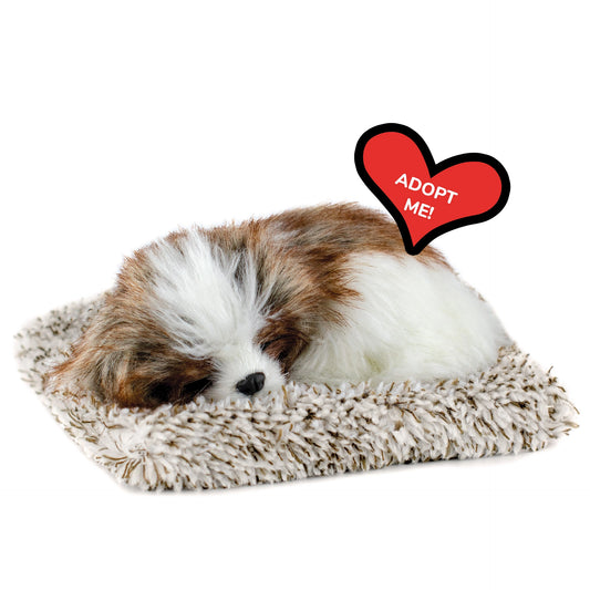 Mini Perfect Petzzz - Shih Tzu