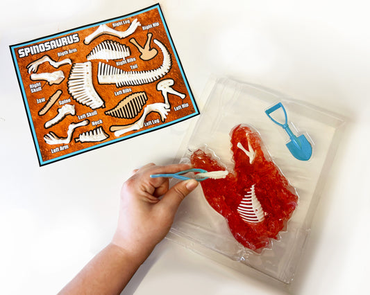 Discover-It Dino Dig