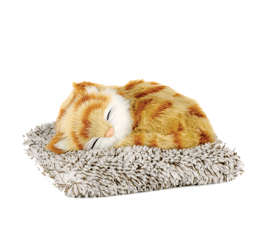 Mini Perfect Petzzz - Orange Tabby