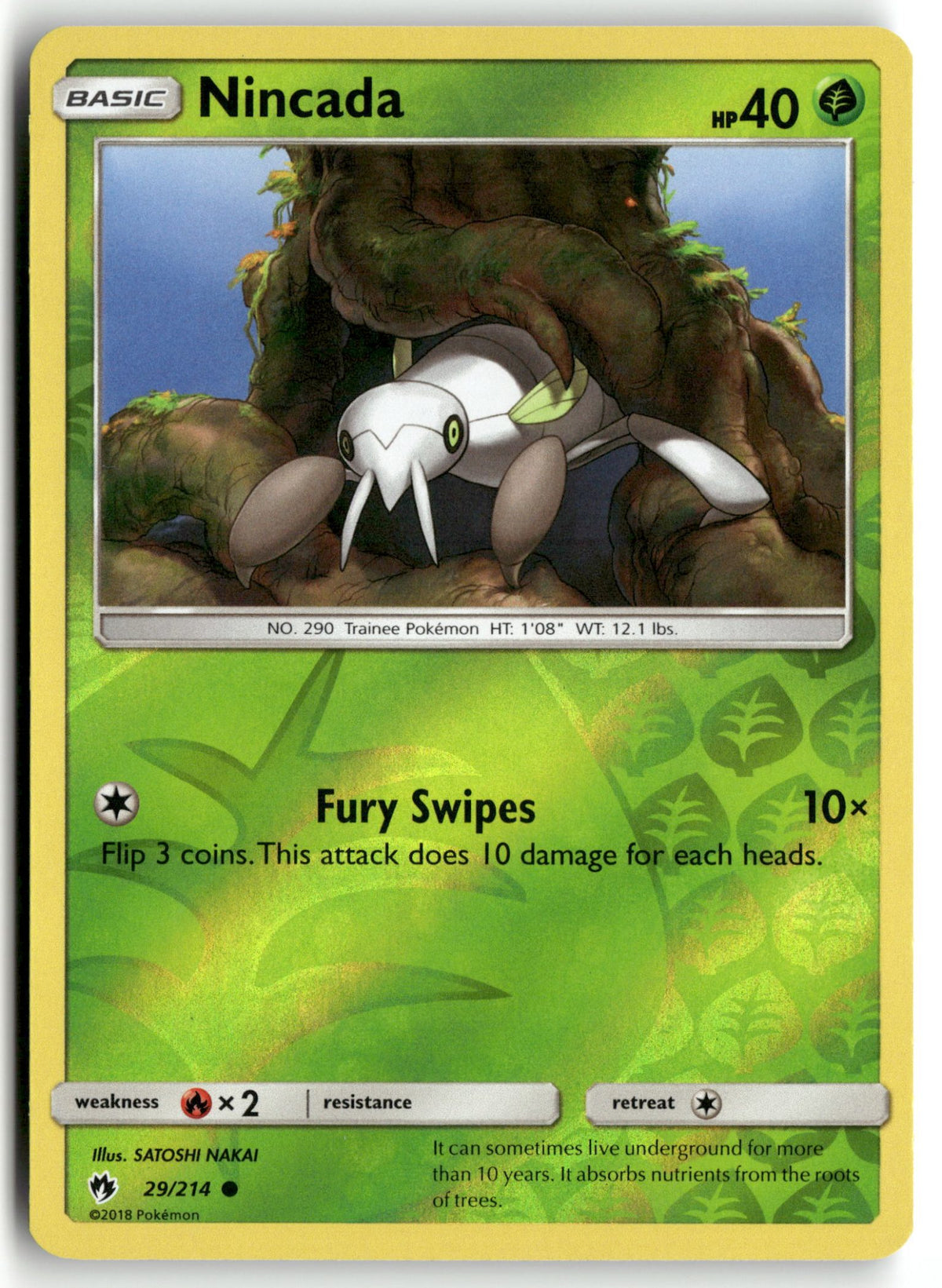 Front + Back scan | Lightly Played / English / Reverse Holofoil