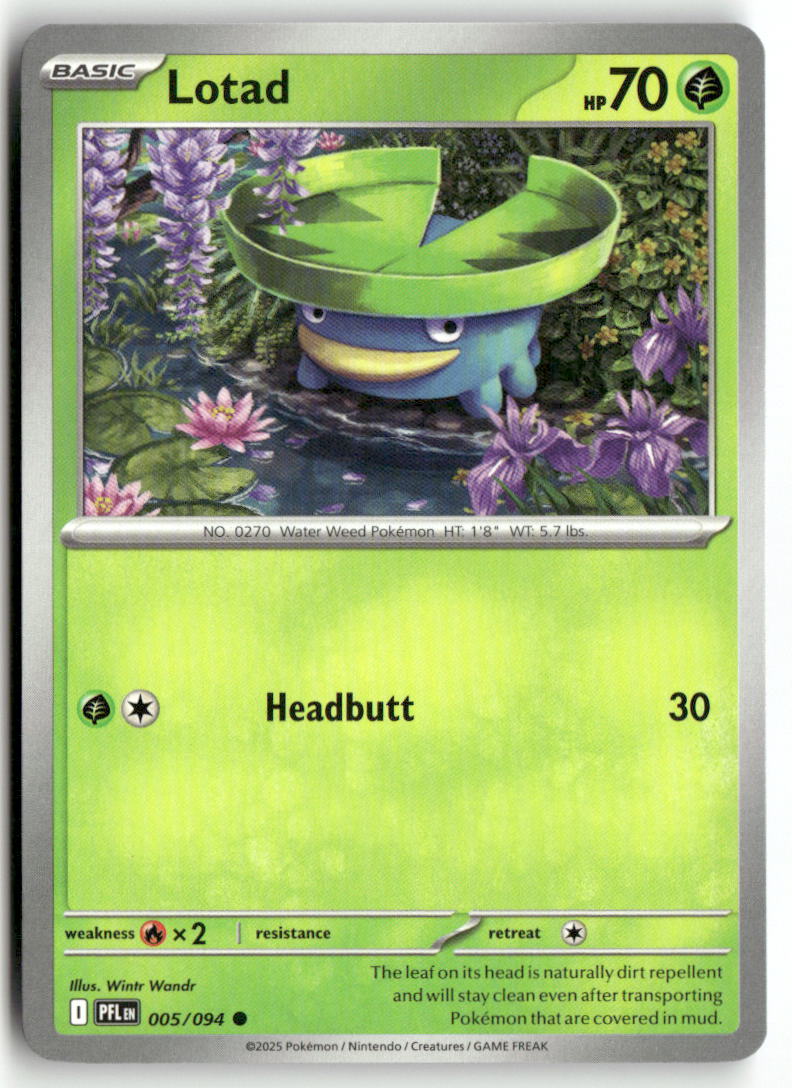 Front + Back scan | Near Mint / English / Normal