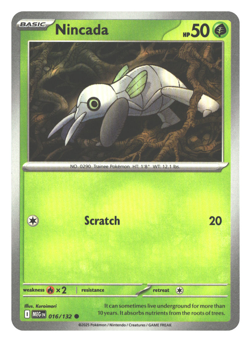 Front + Back scan | Near Mint / English / Normal