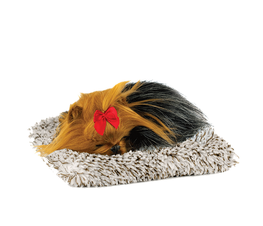 Mini Perfect Petzzz - Yorkie