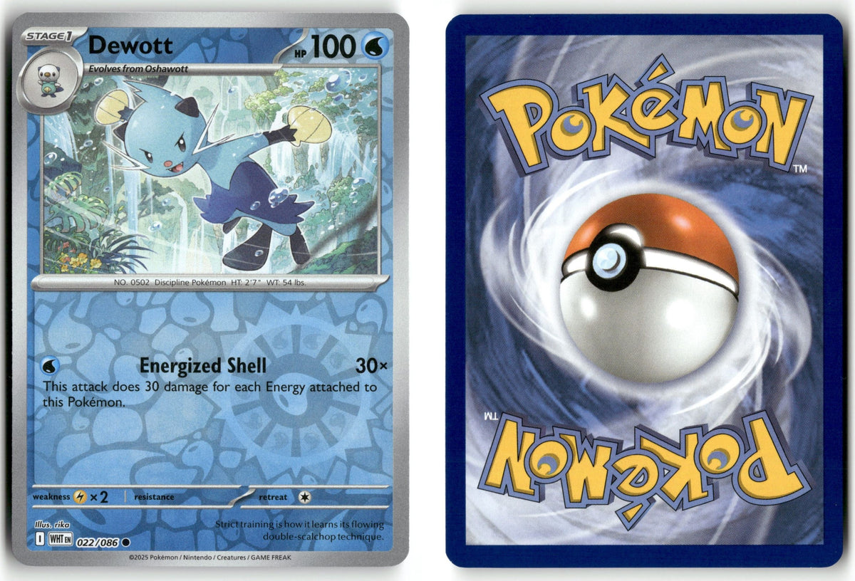 Front + Back scan