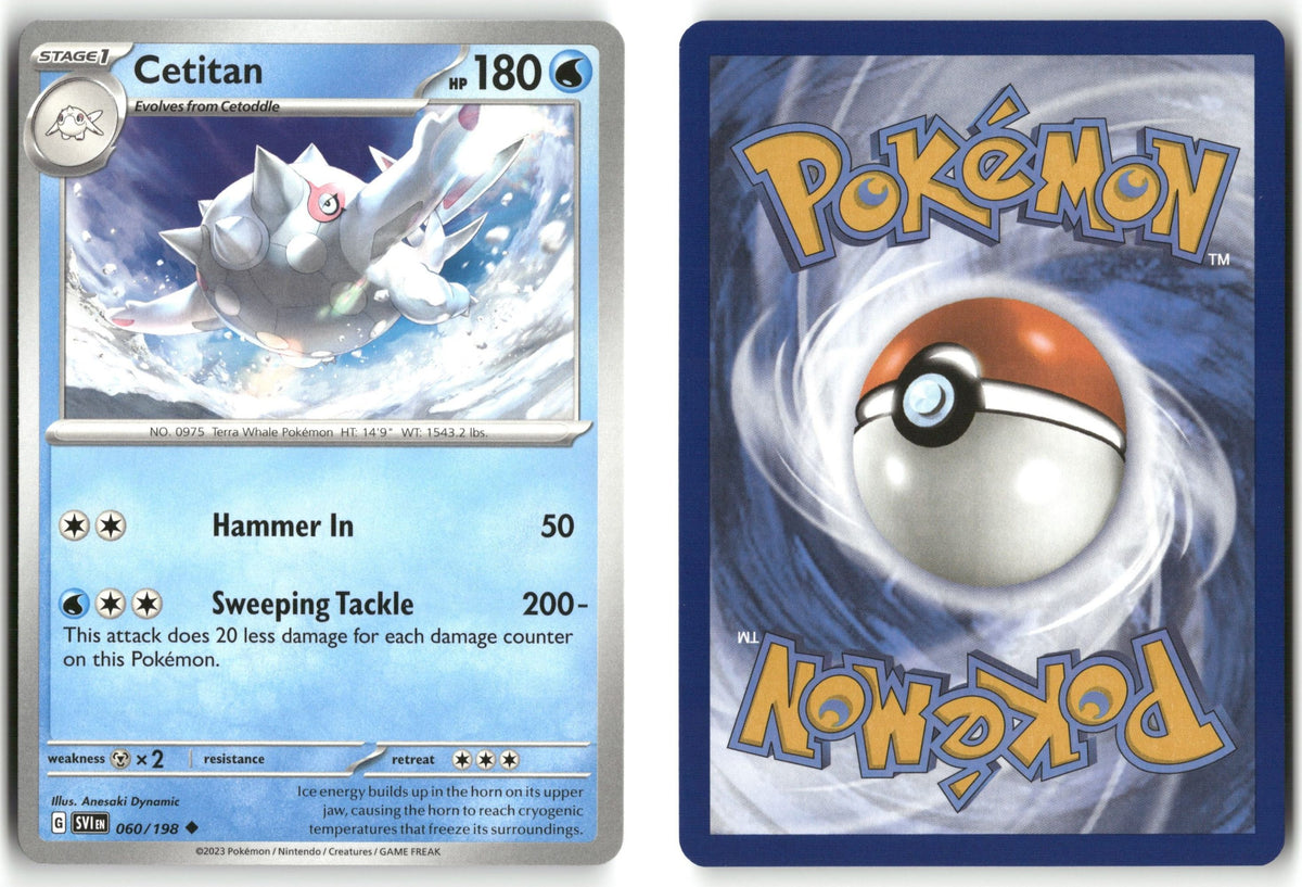 Front + Back scan | Near Mint / English / Normal