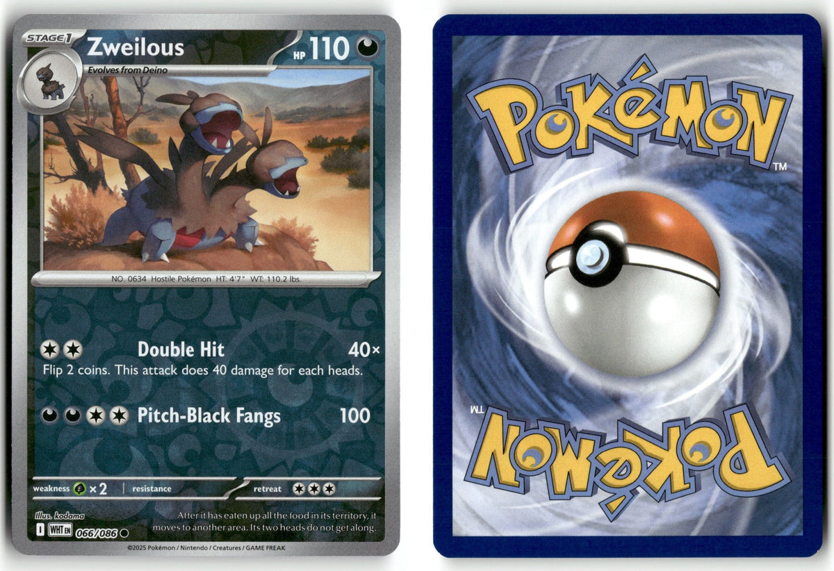 Front + Back scan