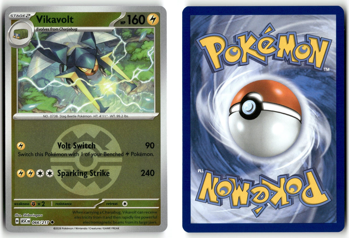 Front + Back scan | Near Mint / English / Reverse Holofoil