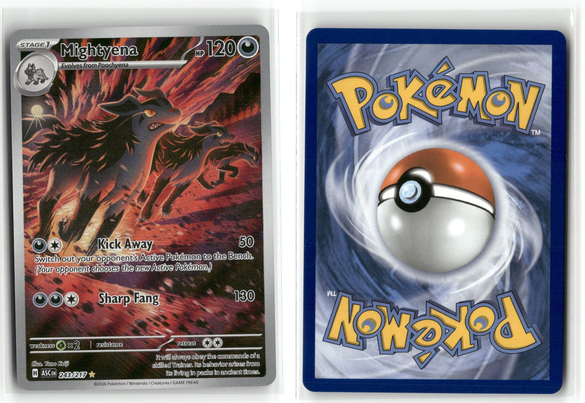 Front + Back scan