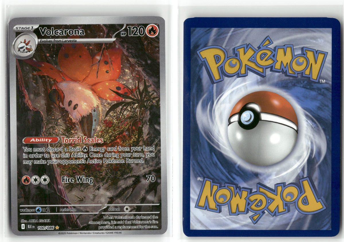 Front + Back scan