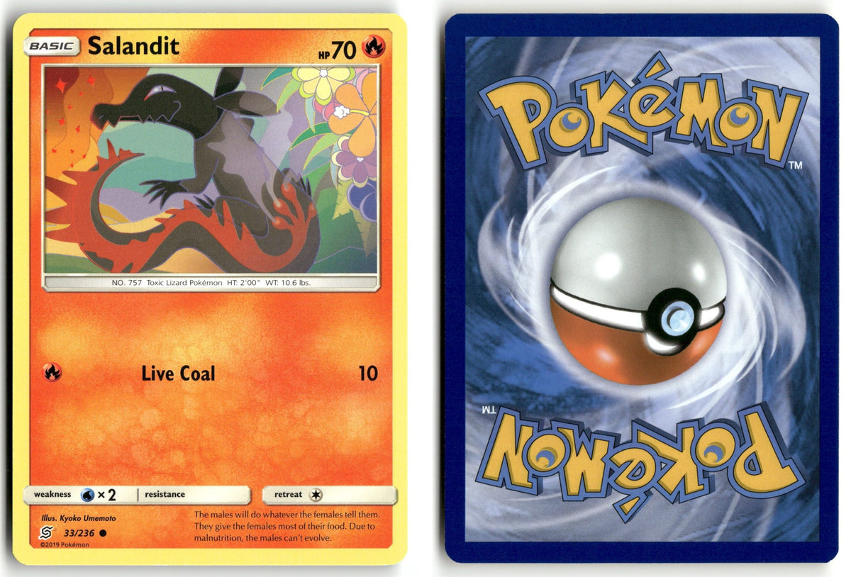 Front + Back scan | Near Mint / English / Normal