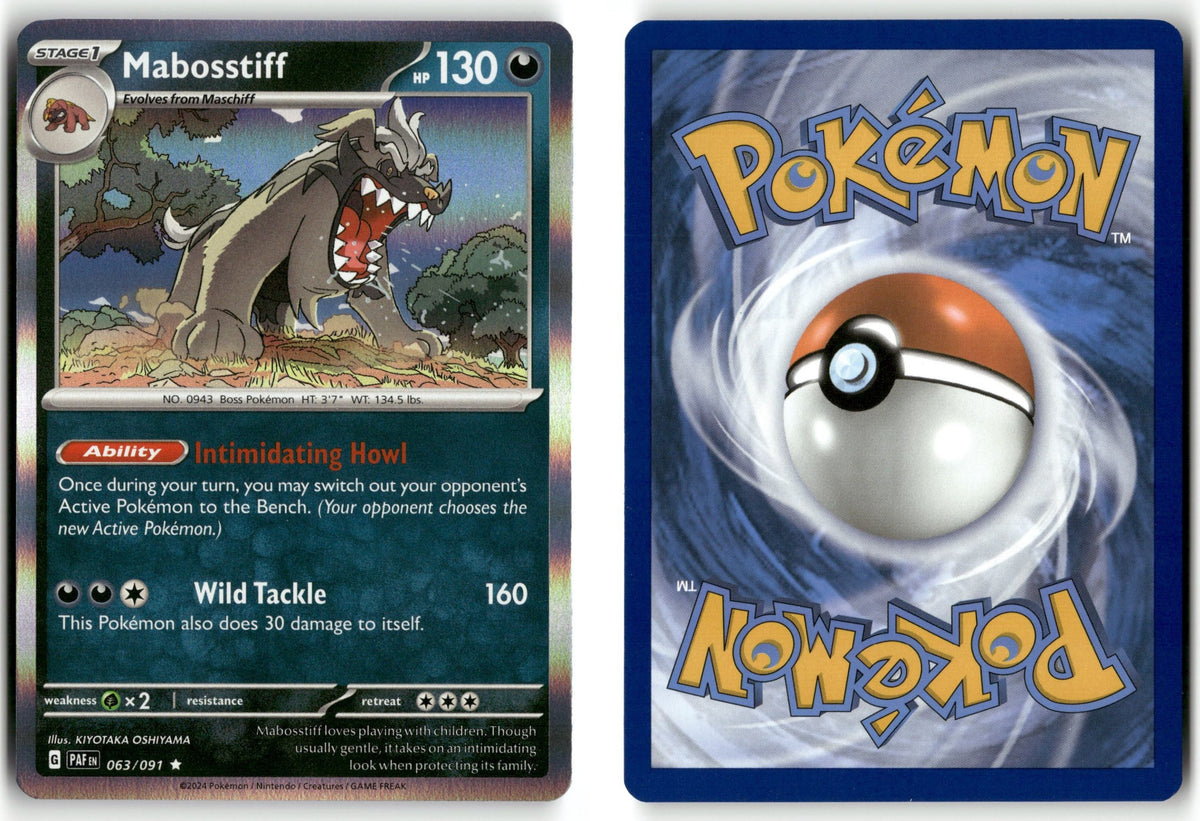 Front + Back scan | Near Mint / English / Holofoil