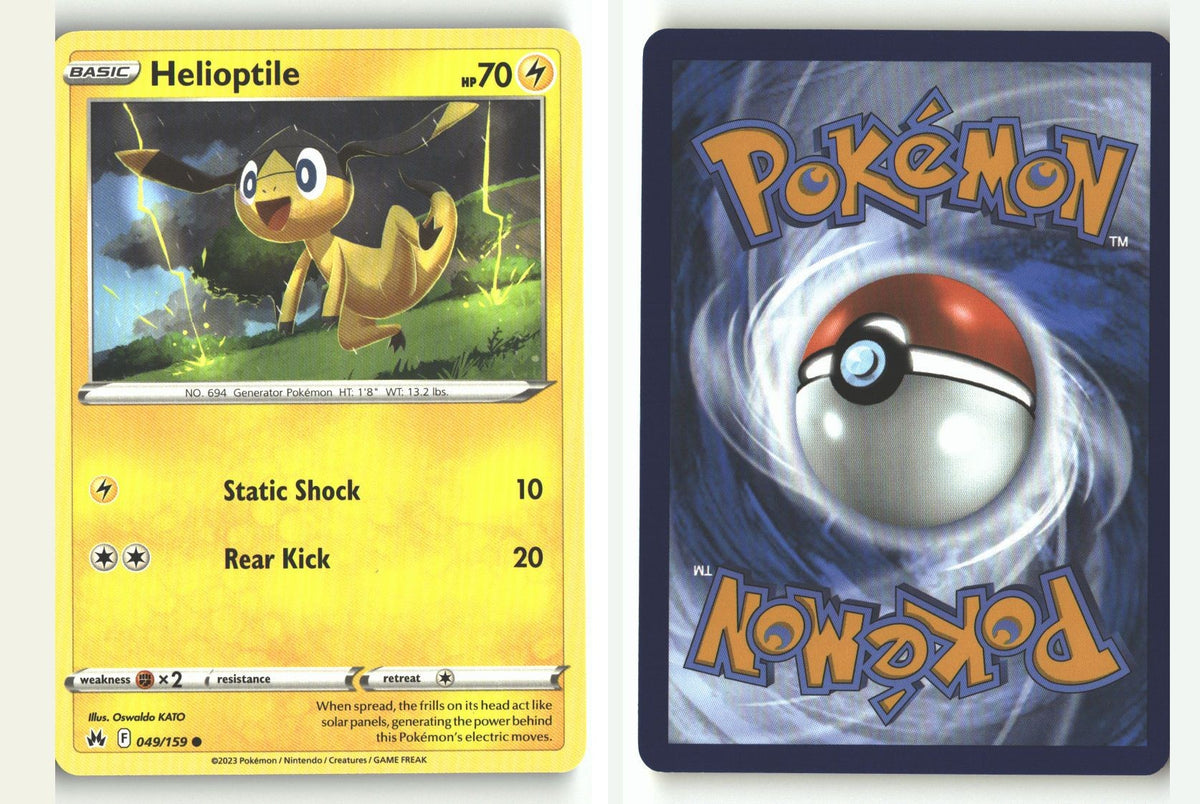 Front + Back scan | Near Mint / English / Normal