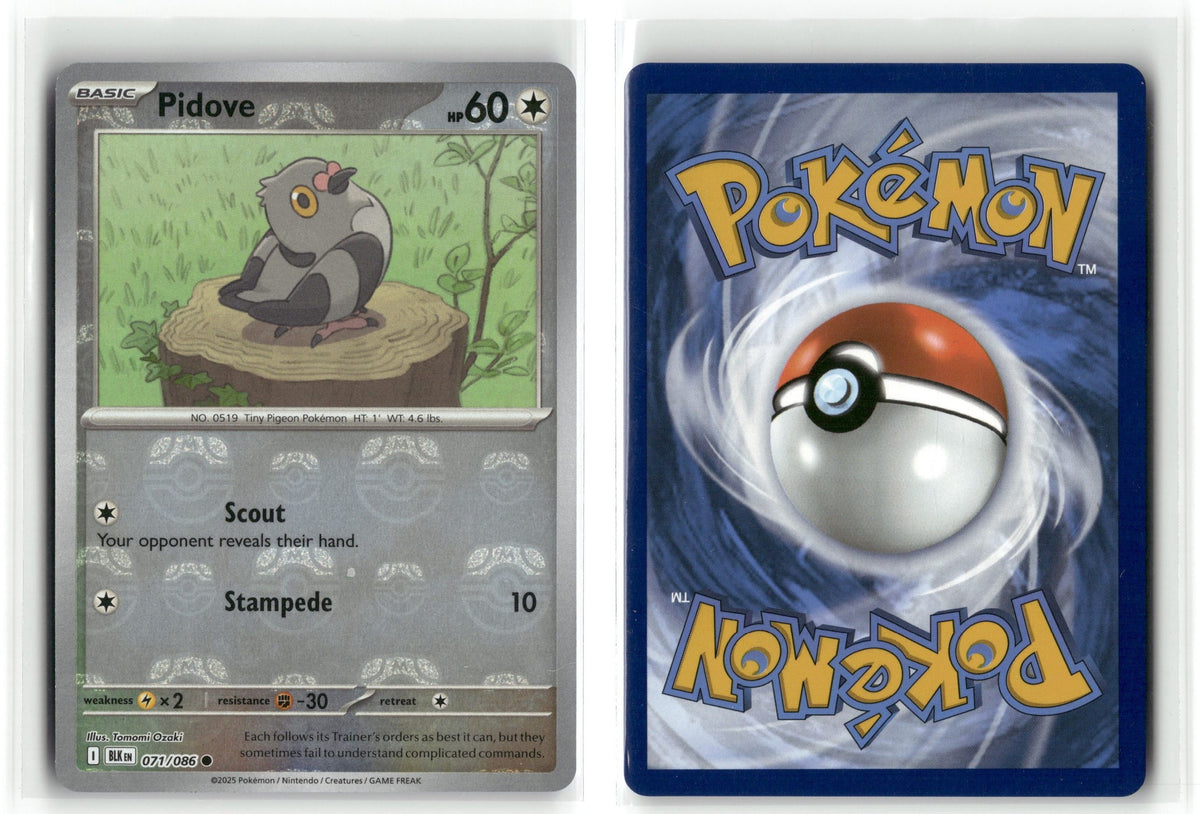 Front + Back scan