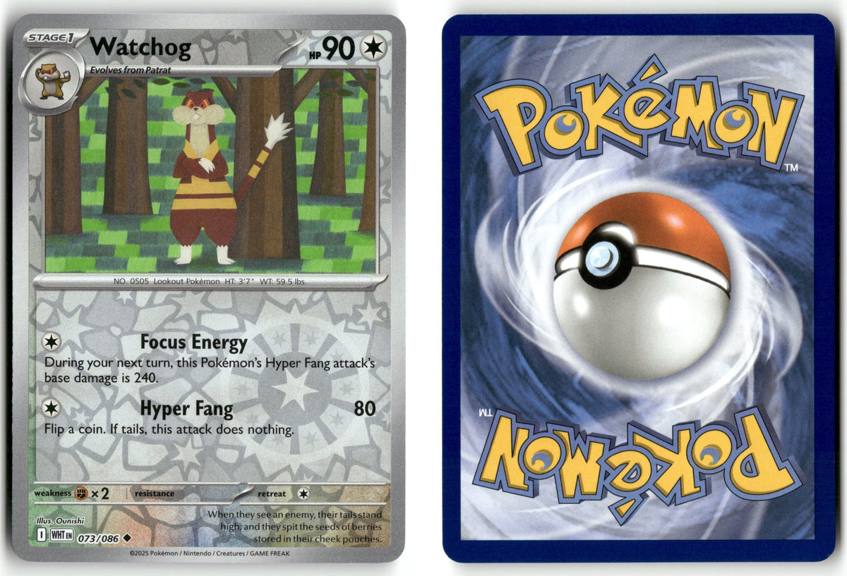Front + Back scan