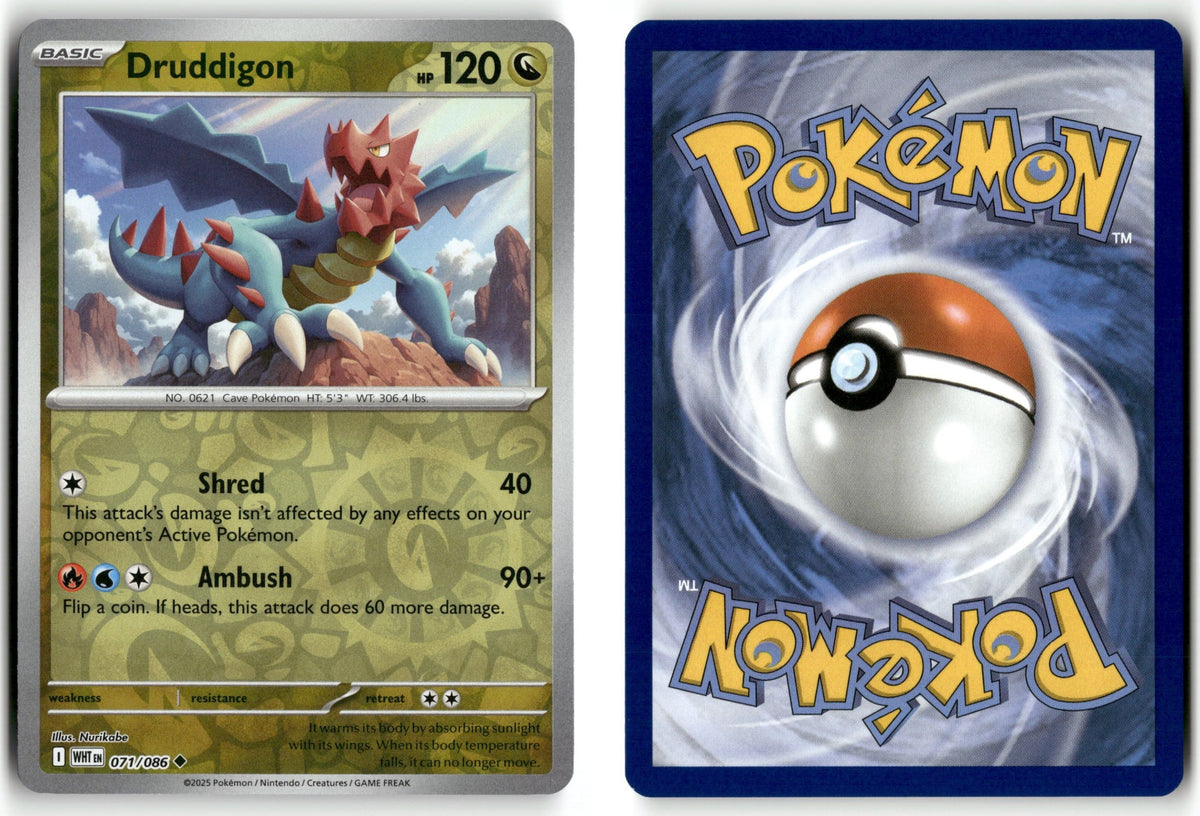 Front + Back scan
