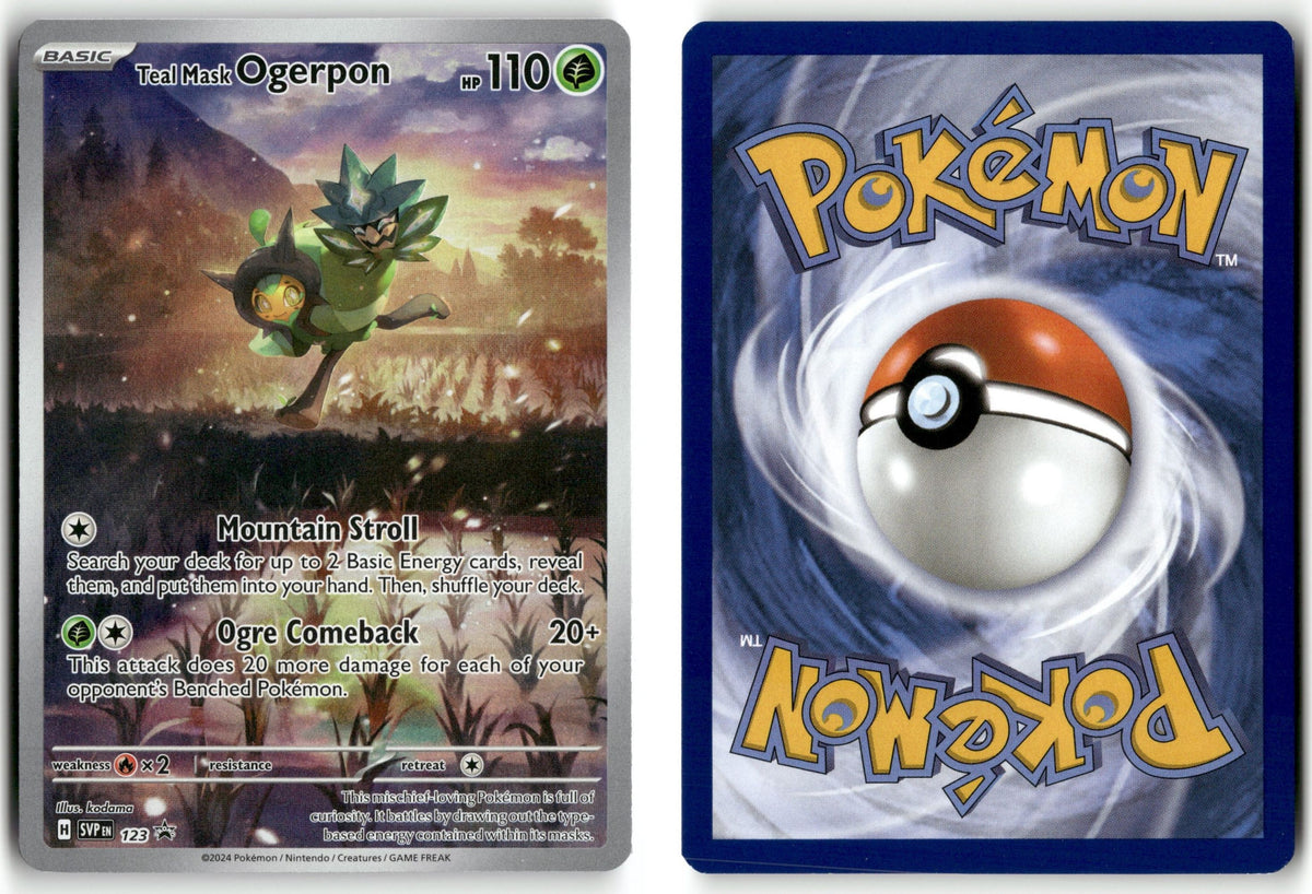 Front + Back scan