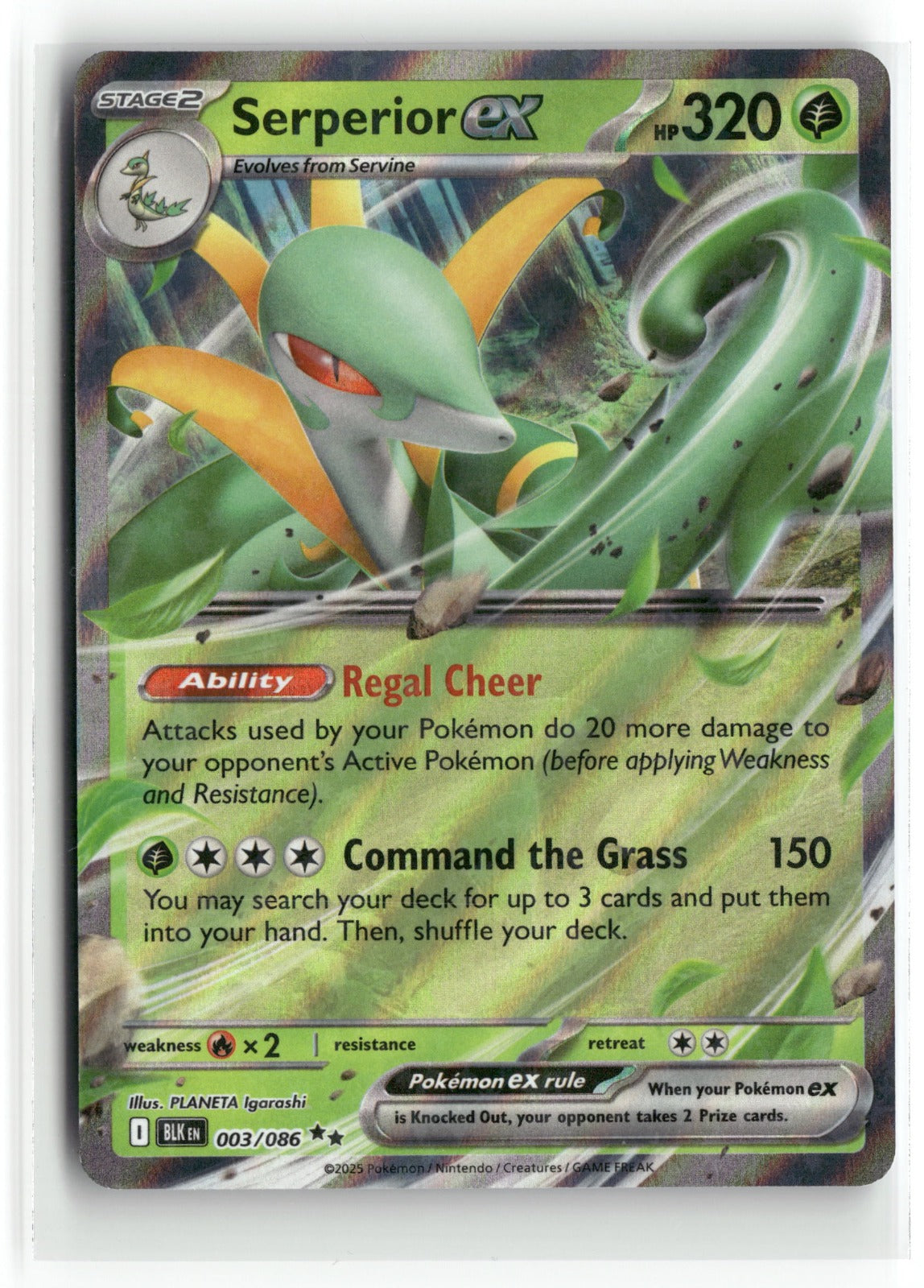 Pokemon Serperior ex 003/086 Double Rare 2025 SV: Black Bolt
