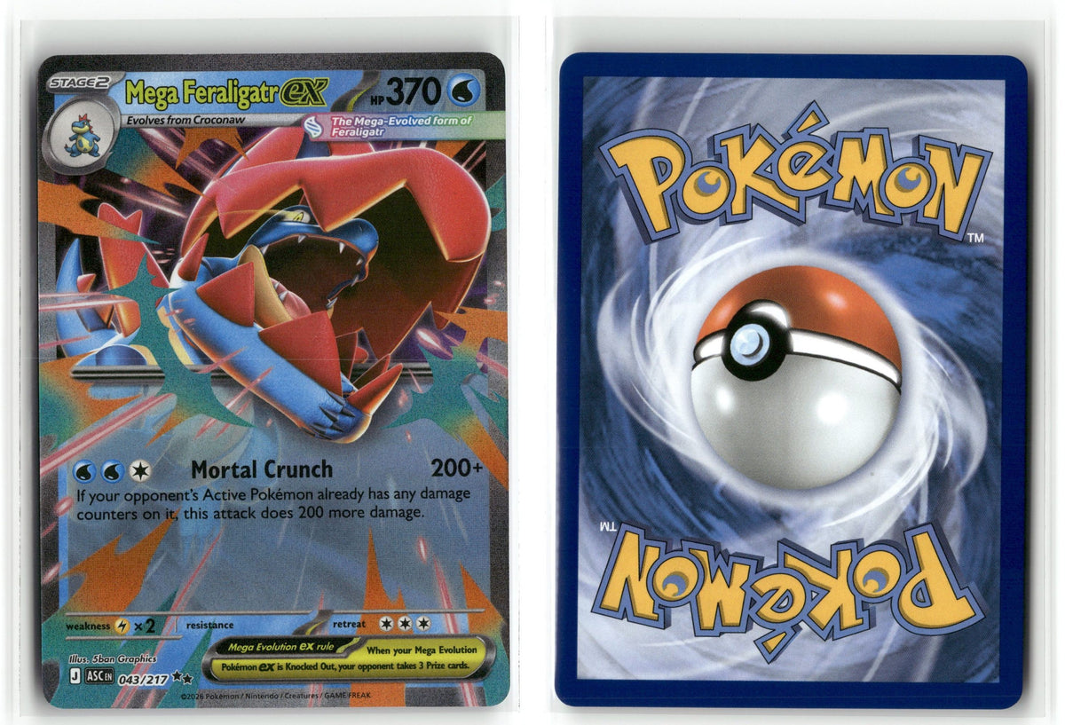 Front + Back scan