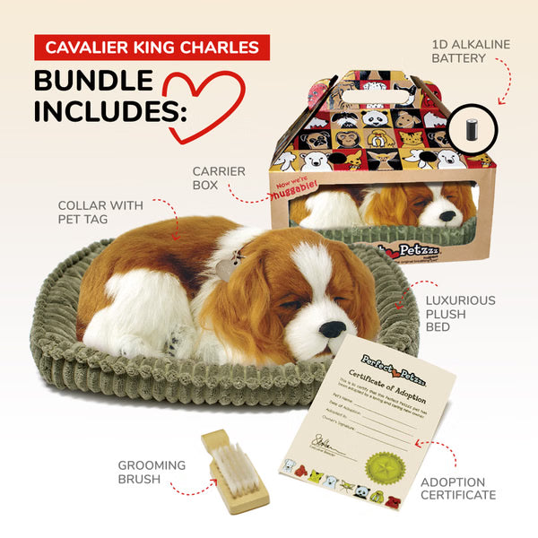 Original Cavalier King Charles Perfect Petzzz