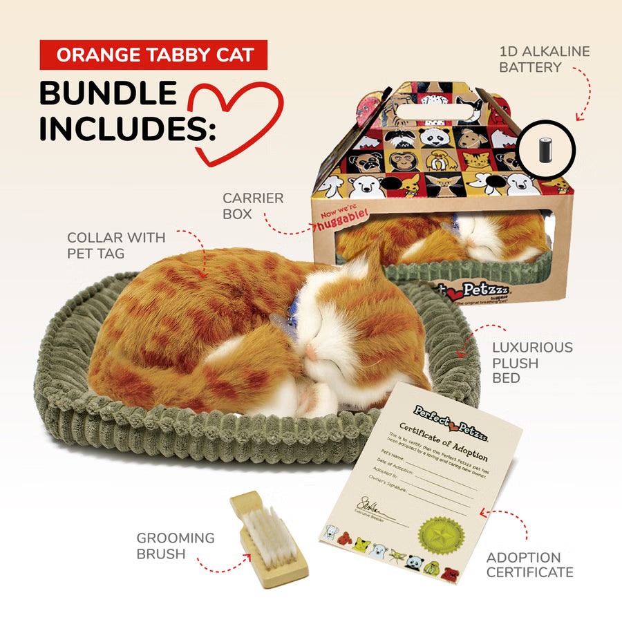 Original Orange Tabby Kitten Perfect Petzzz