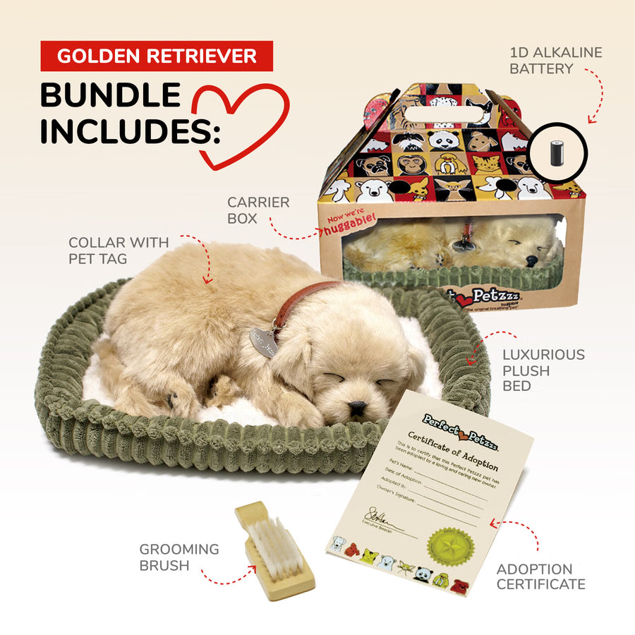 Original Golden Retriever Perfect Petzzz