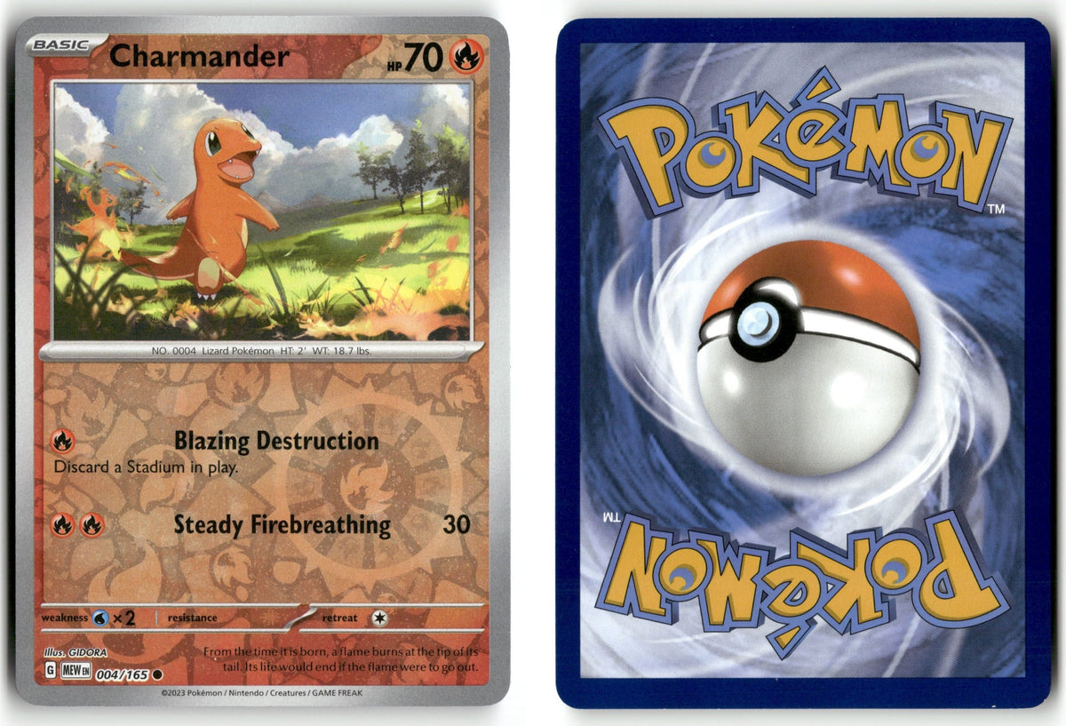 Front + Back scan