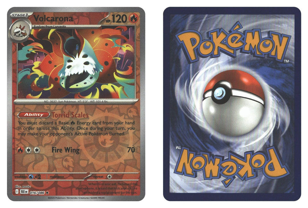 Front + Back scan | Near Mint / English / Reverse Holofoil