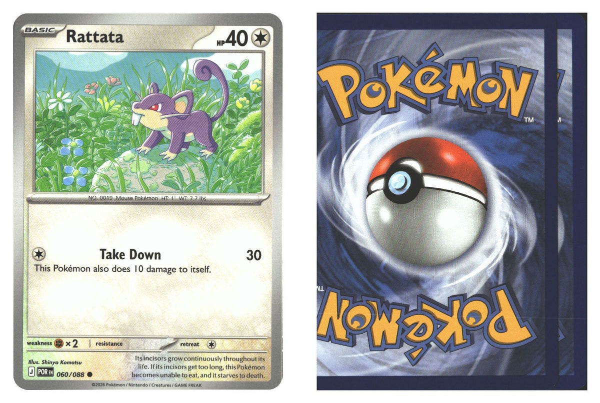 Front + Back scan | Near Mint / English / Normal