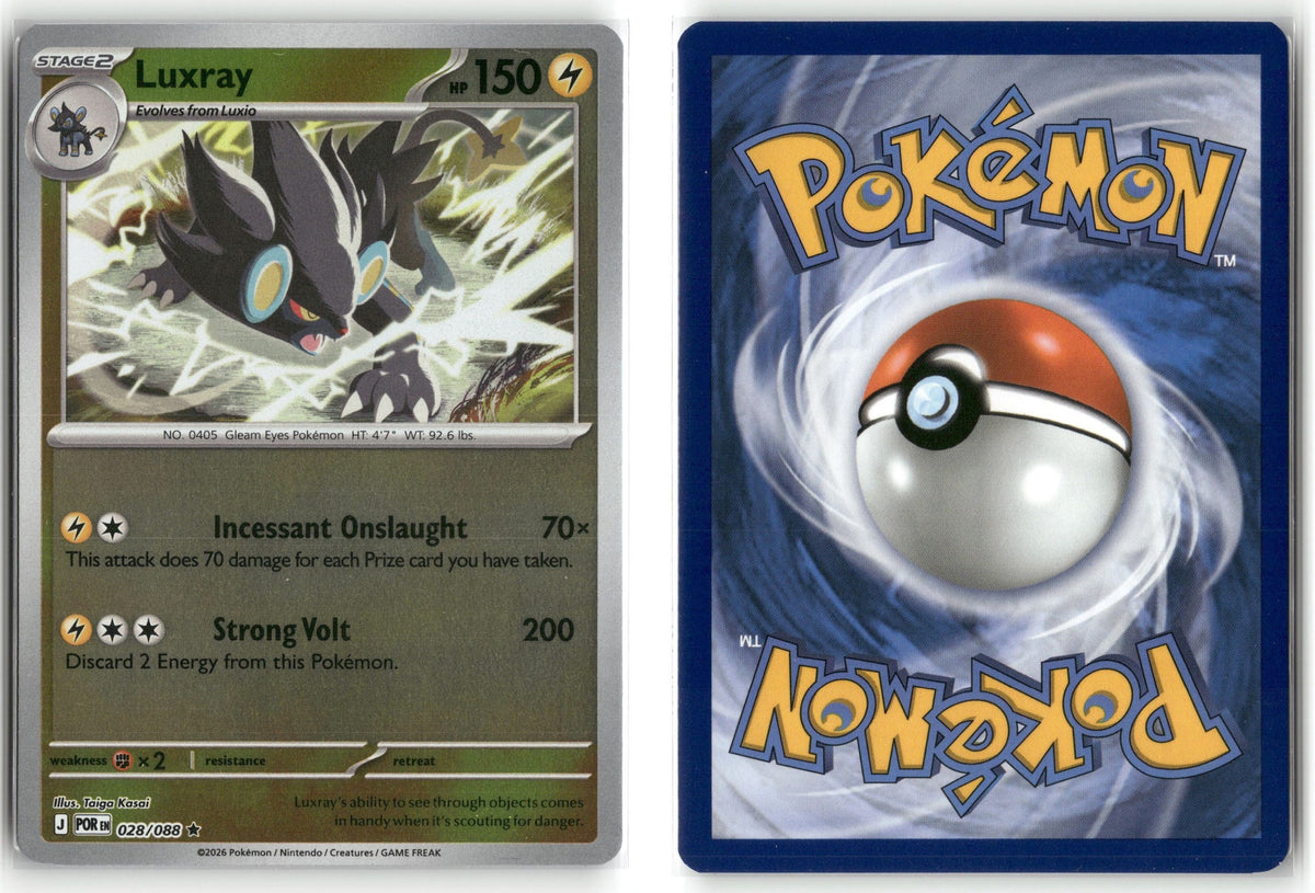 Front + Back scan