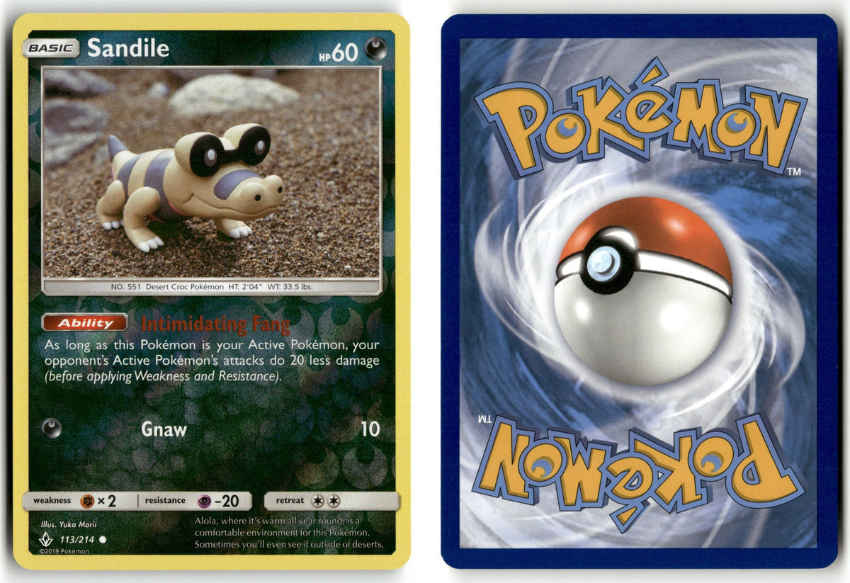Front + Back scan