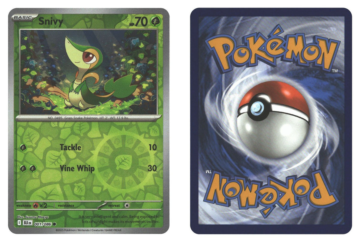 Front + Back scan | Near Mint / English / Reverse Holofoil