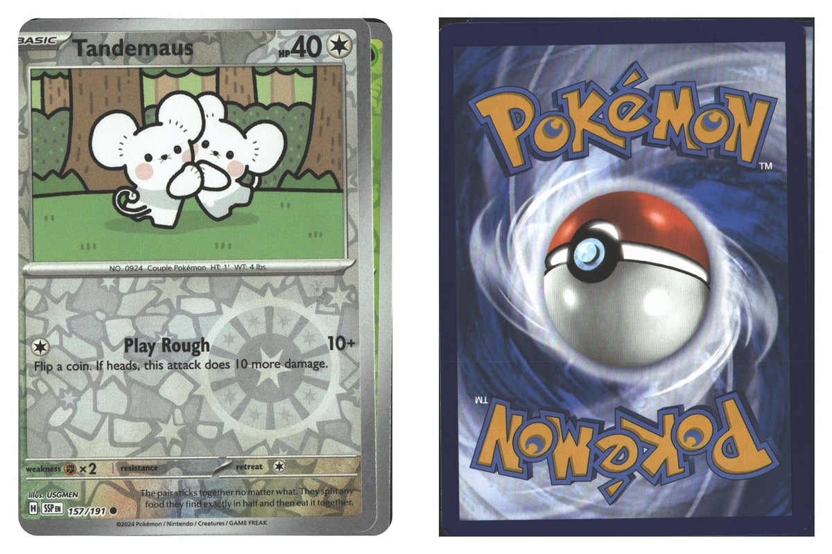 Front + Back scan | Near Mint / English / Reverse Holofoil
