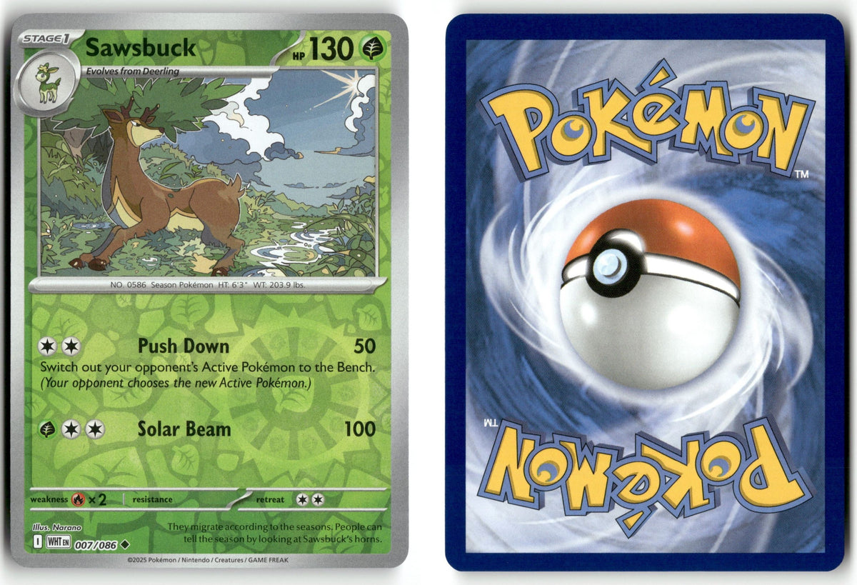 Front + Back scan