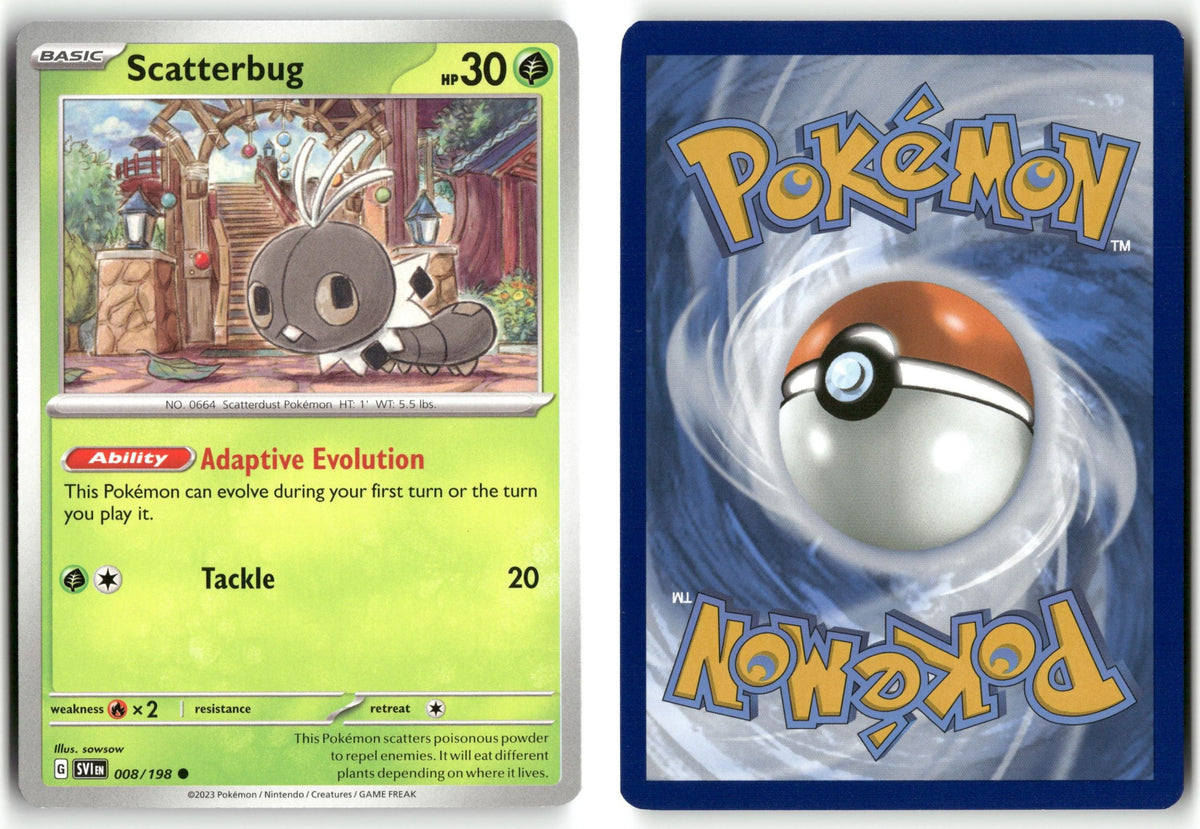 Front + Back scan | Near Mint / English / Normal