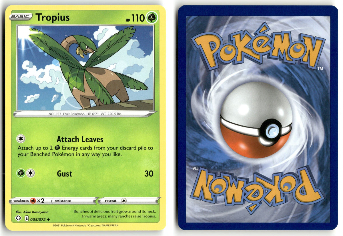 Front + Back scan | Near Mint / English / Normal