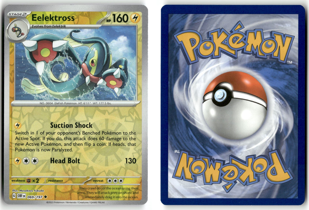 Front + Back scan