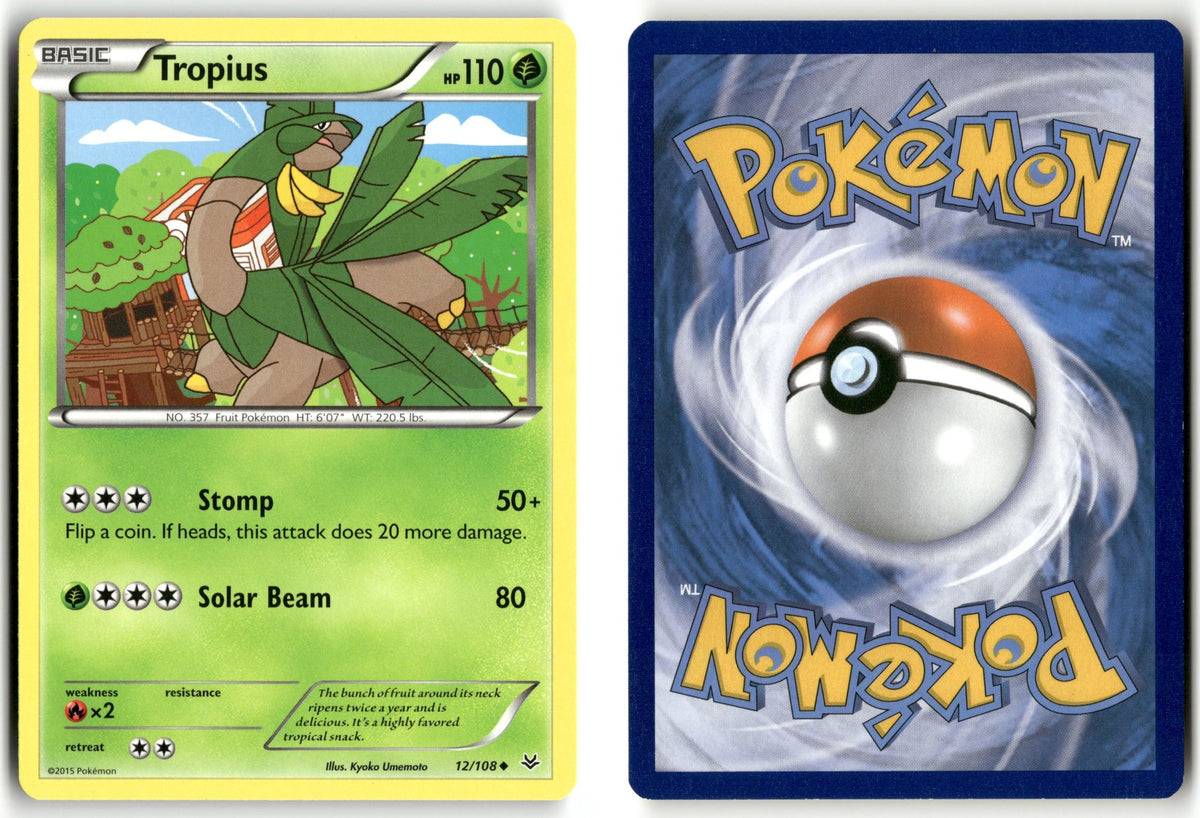 Front + Back scan | Near Mint / English / Normal
