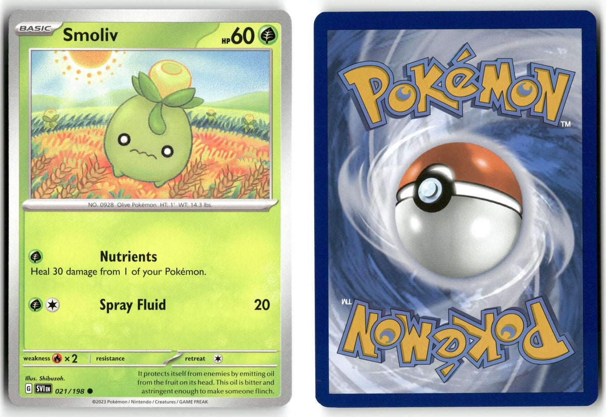 Front + Back scan | Near Mint / English / Normal