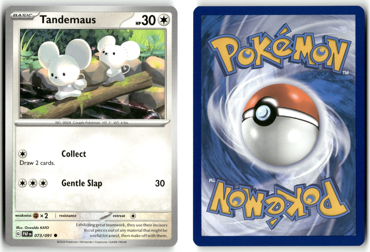 Front + Back scan | Near Mint / English / Normal